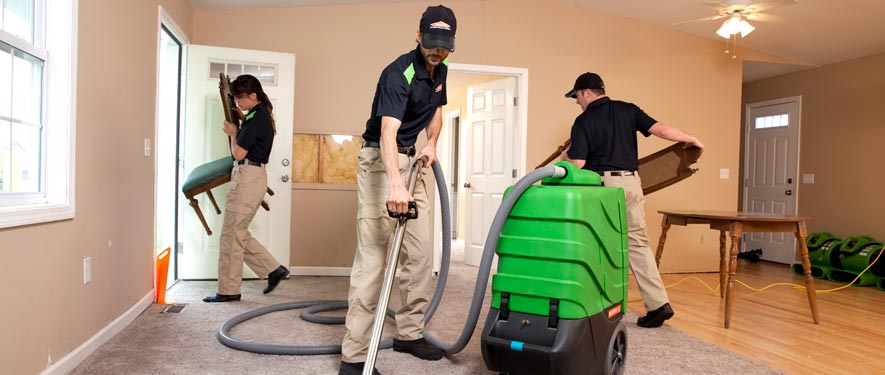 Westfield, MA cleaning services